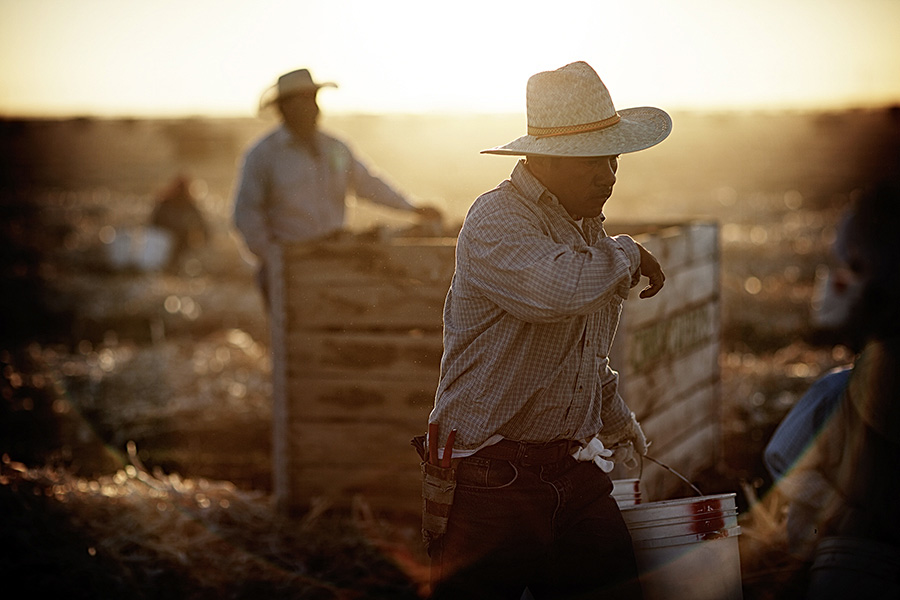 Read more about the article Striking Photos Show Struggle Of Farmers In California Drought